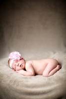 Bassett Newborn Portrait